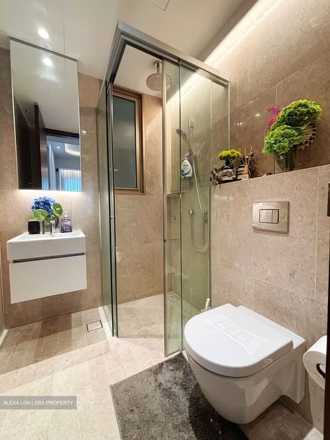 Draycott Park (D10), Condominium #574417431